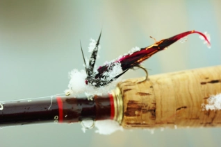 Fly and ice Fly and ice