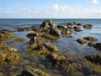 Rough coast Rough coast