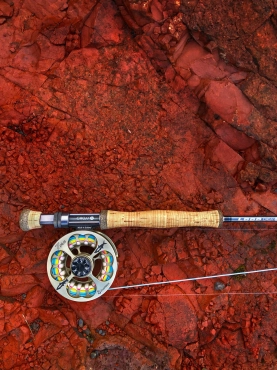 Loop Cross S1 Loop Cross S1