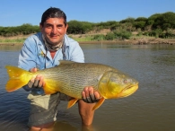 A nice Dorado A nice Dorado