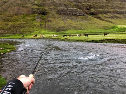 A typical view A typical view