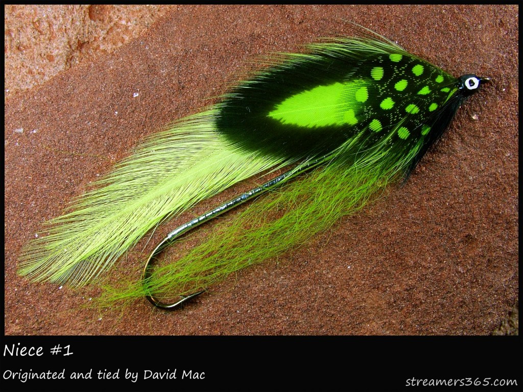 #287 Niece #1 - David Mac #287 Niece #1 - David Mac