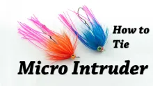 Video thumb for Micro Intruder