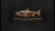 Video thumb for Fly Fishing in the Anthropocene