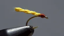 Video thumb for Furled Chimarra Caddis Larva