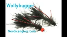 Video thumb for Fly tying, trout: Wolly Bugger with legs