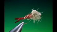 Video thumb for Foam Mayfly Emerger