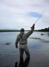 User submitted picture: nymph fishing pays off...