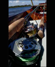 User submitted picture: > Ready for action <