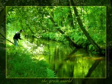 User submitted picture: Flyfishing with Limpe in ...