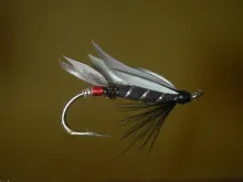 User submitted picture: Just a variation on an ol...