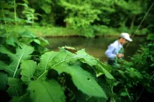 User submitted picture: The dragonfly and the fis...