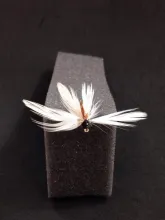 User submitted picture: "White Glider" built on...