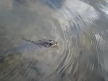 User submitted picture: Karsten Frederiksen's wi...