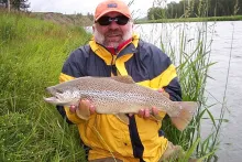 User submitted picture: A BIG Bow River Brown cau...