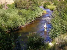 User submitted picture: Working streamers on the ...