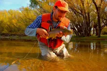 User submitted picture: Peter and his autumn brow...