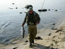 User submitted picture: Well landed sea trout