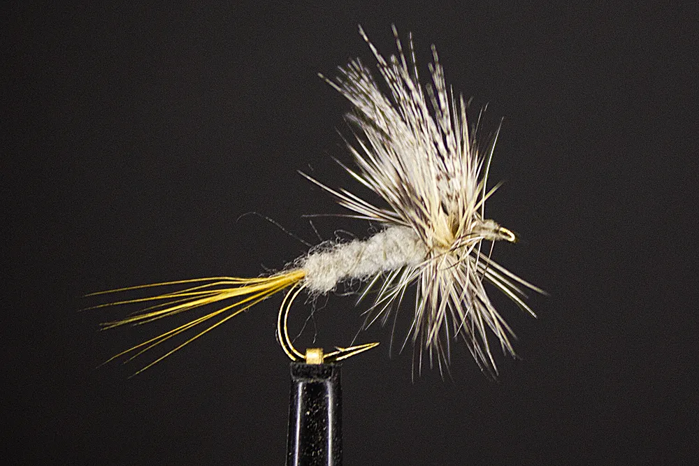 User submitted picture: Grey Fox Catskill Dry Fly