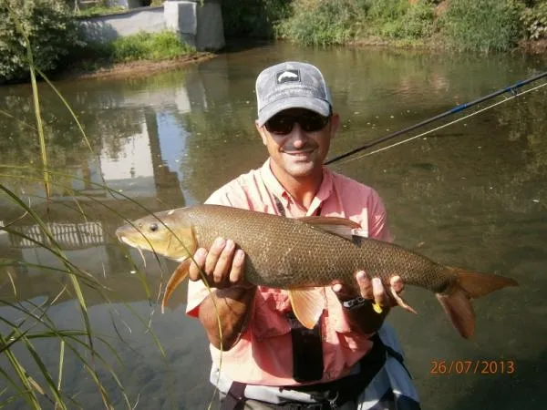 User submitted picture: Barbel captured with the ...