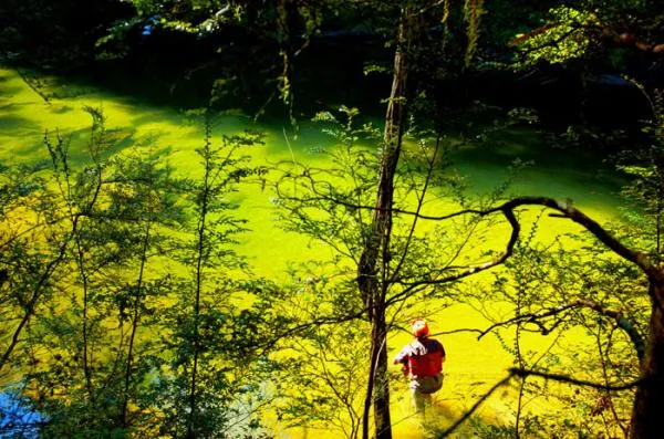 User submitted picture: peter casts for some mata...