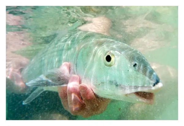 User submitted picture: Digging silver in the car...