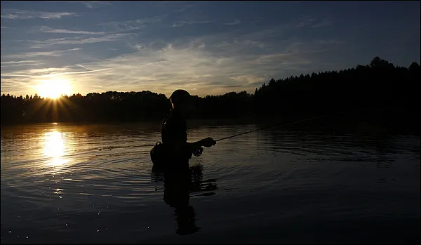 User submitted picture: Sunset